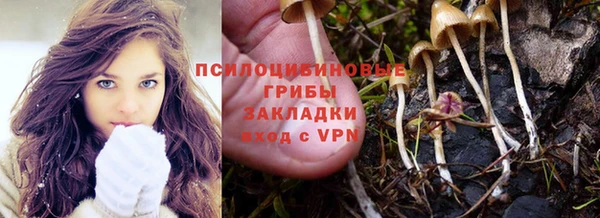 крисы Балабаново