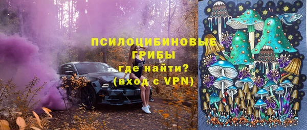гидра Белокуриха
