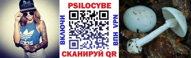 Галлюциногенные грибы GOLDEN TEACHER  MEGA   Кольчугино 
